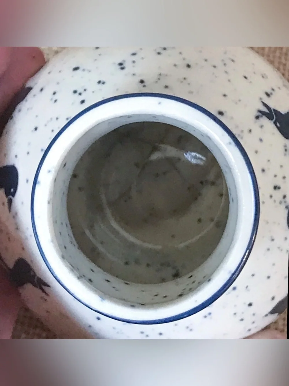 Duck Miniature Bud Vase White Blue Speckled Cottagecore Farm Prairie Country